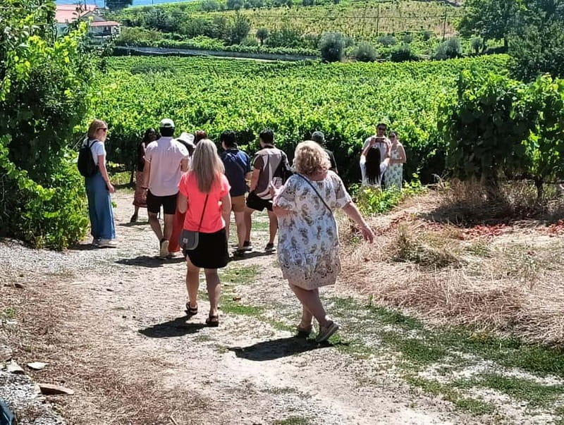 From Porto: 2 Wine Regions, Farm Lunch, and Boat Ride - Why This Douro Day Feels Worth Your Money