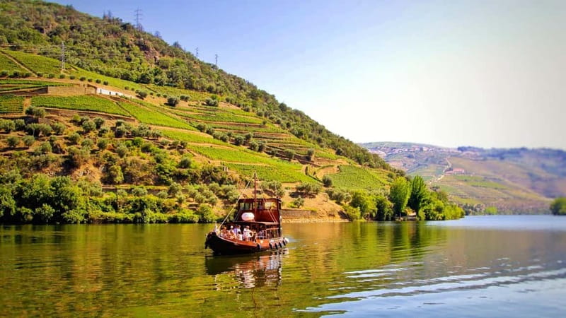 From Porto: 2 Wine Regions, Farm Lunch, and Boat Ride - Porto Departure and the Van Ride to Wine Country