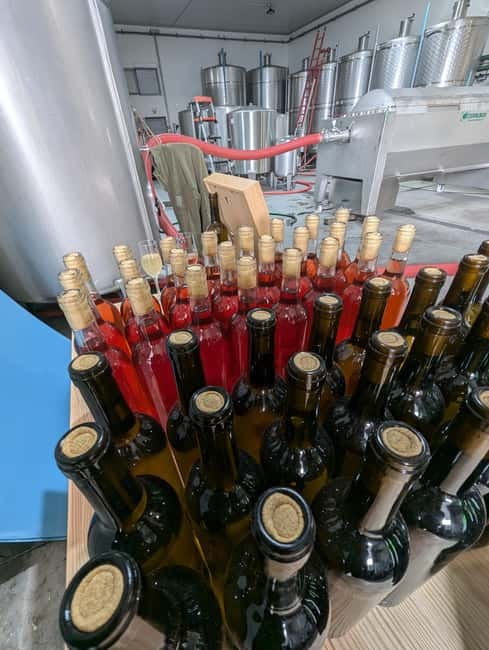 From Porto: 2 Wine Regions, Farm-to-Table Lunch & Boat - Transportation, timing, and what the long day feels like in practice