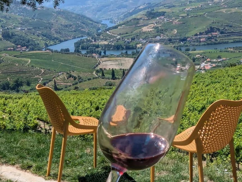 From Porto: 2 Wine Regions, Farm-to-Table Lunch & Boat - What you actually get for $94, and when it feels like a bargain