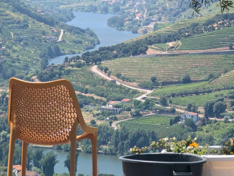 From Porto: 2 Wine Regions, Farm-to-Table Lunch & Boat - Who this trip is best for, and who should skip it