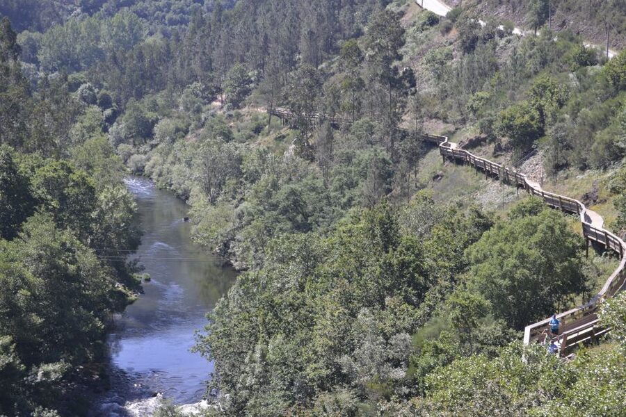 From Porto: 516 Arouca Bridge, Paiva Walkways and Aveiro - The 516 Arouca Suspension Bridge: views plus a safe, guided crossing