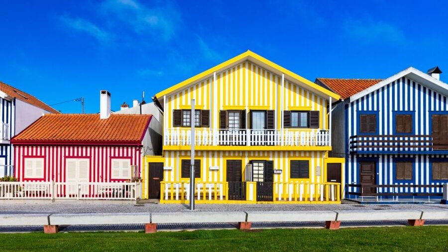 From Porto: Aveiro and Coimbra Private Tour - Joanina Library and Coimbra’s book-world atmosphere