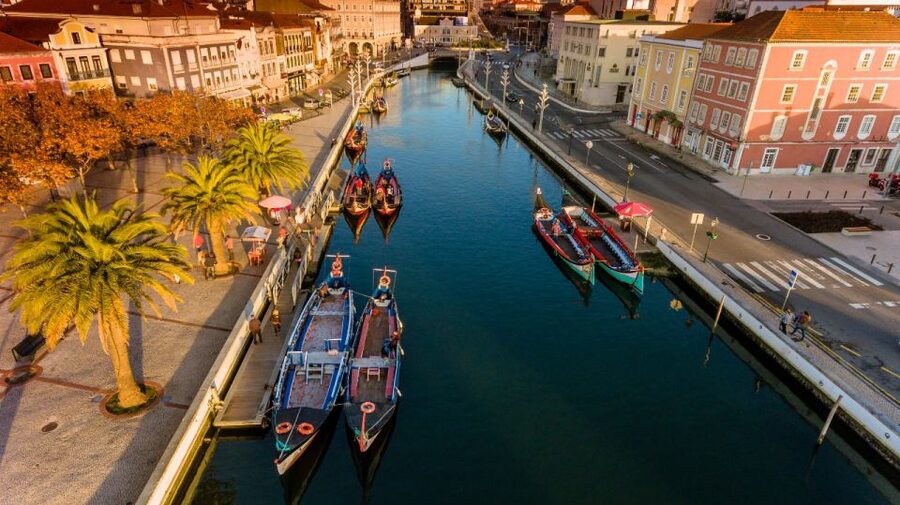 From Porto: Aveiro and Coimbra Private Tour - Moliceiro boats: the classic Aveiro ride