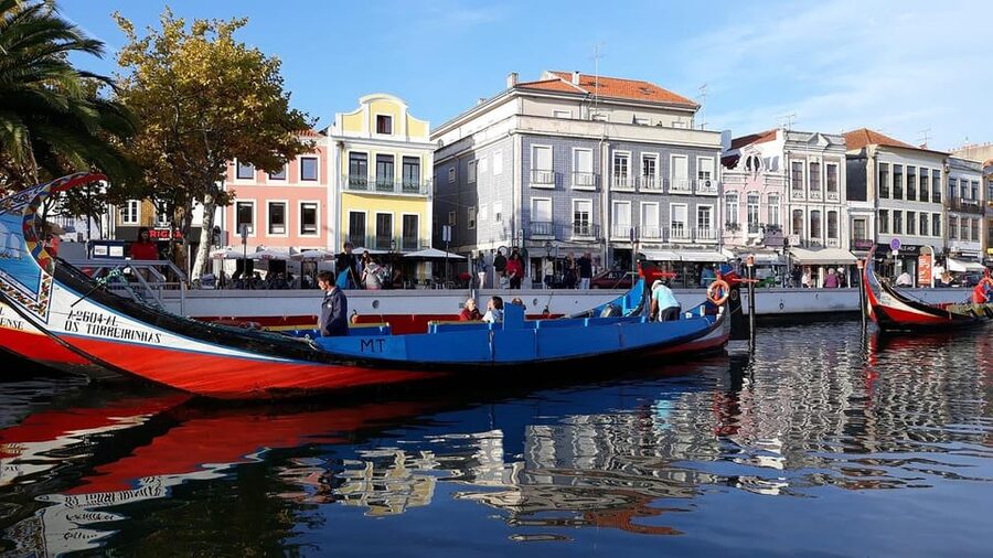 From Porto: Aveiro Half Day Tour - Salt Pans Views: The Calm Part of a Busy Day
