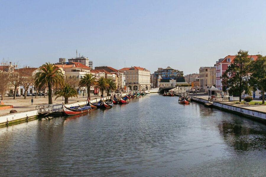 From Porto: Aveiro Half Day Tour - Aveiro Free Time: Use It for Streets, Not Sit-and-Stare