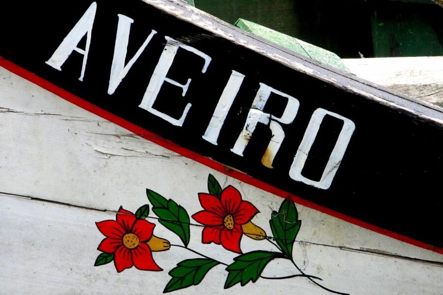 From Porto: Aveiro Half-Day Tour with 1-Hour Cruise - Getting from Porto to Aveiro, without wasting your day