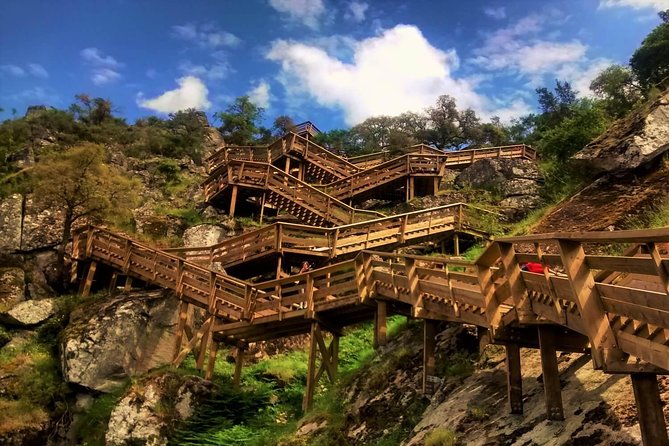 From Porto: Aveiro, Paiva Walkways, Suspension Bridge and Lunch - Key Things You Should Know Before You Go