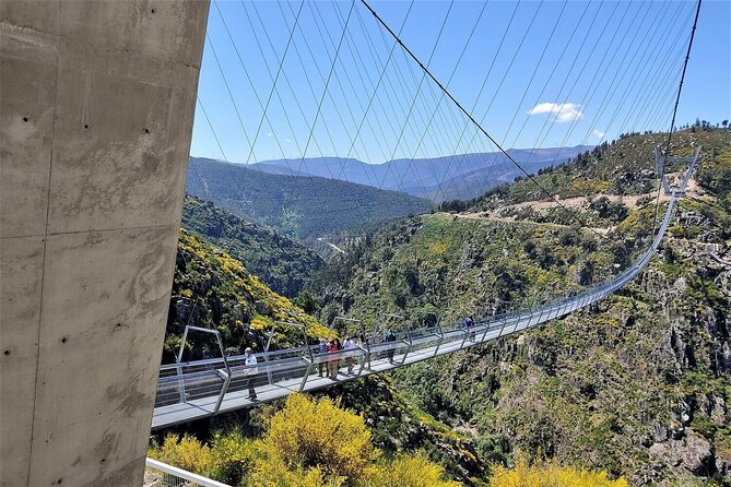 From Porto: Aveiro, Paiva Walkways, Suspension Bridge and Lunch - A Full Day North of Porto That Balances Fear, Fitness, and Food