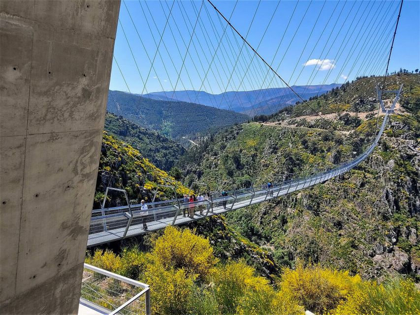 From Porto: Aveiro, Paiva Walkways, & Suspension Bridge Tour - Transport and group size: why small groups feel better here