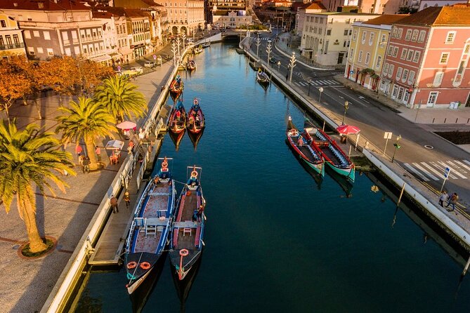 From Porto: Aveiro Private Day Trip - Aveiro canals, bridges, Art Nouveau streets, and the fish market