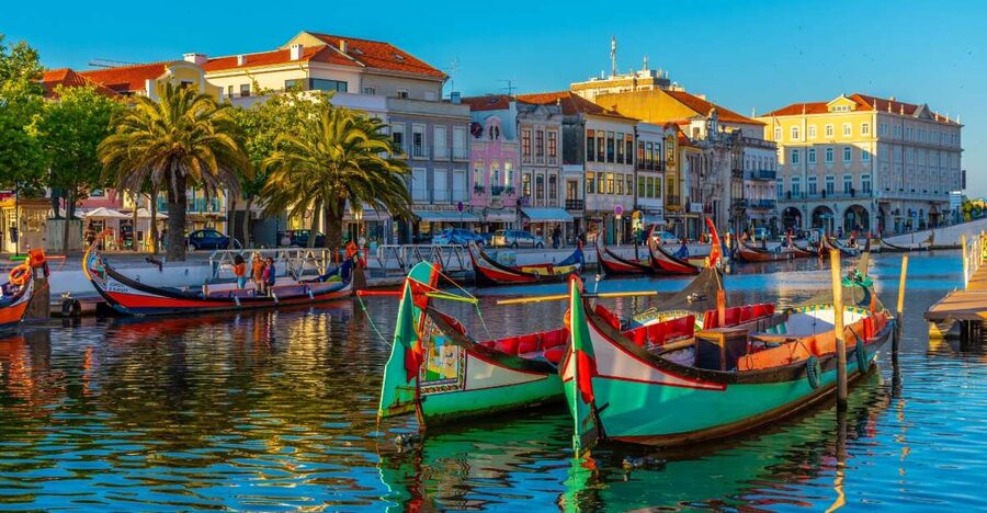 From Porto: Aveiro Private Guided Day Trip - Saint Joana, the fish market, and Vista Alegre museum time