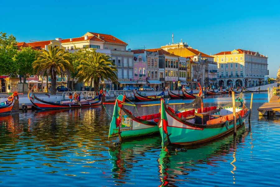 From Porto: Aveiro Private Guided Day Trip - Moliceiro boats and the Ria cruise for real perspective