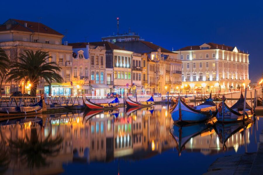 From Porto: Aveiro Private Guided Day Trip - Lunch in Aveiro: letting your guide handle the hard part