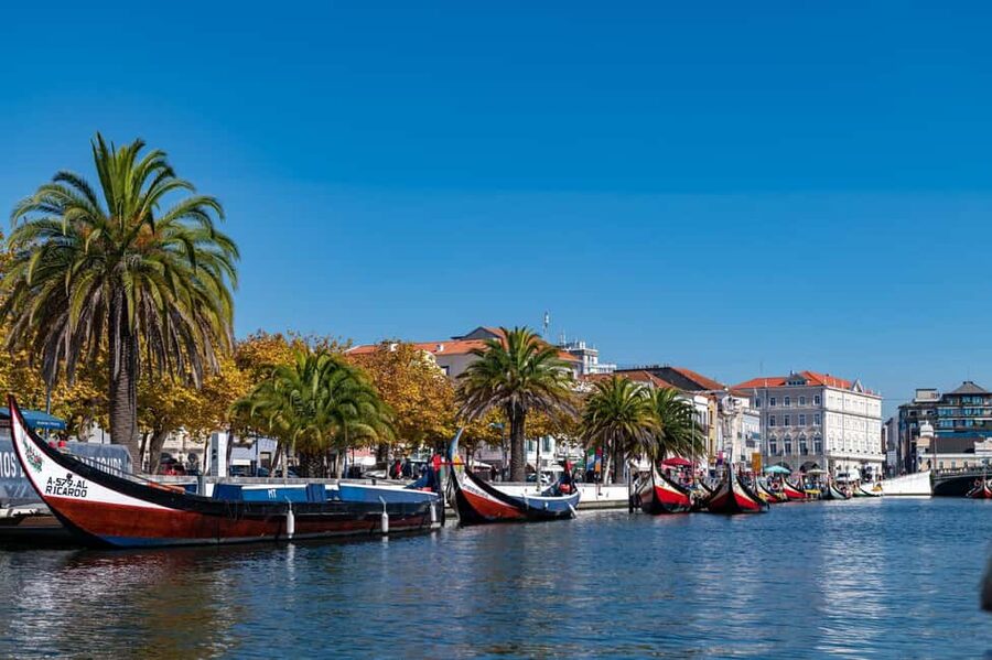 From Porto: Coimbra, Aveiro and Costa Nova Day Tour - Coimbra Old Town Walk: Sé Velha, Santa Cruz, and Mondego Views