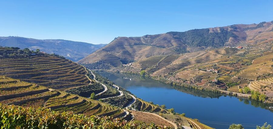 From Porto Day Douro Valley Wine Tour 2 Wine Tasting & Lunch - Rabelo boat cruise: slow river time and vineyards you can study