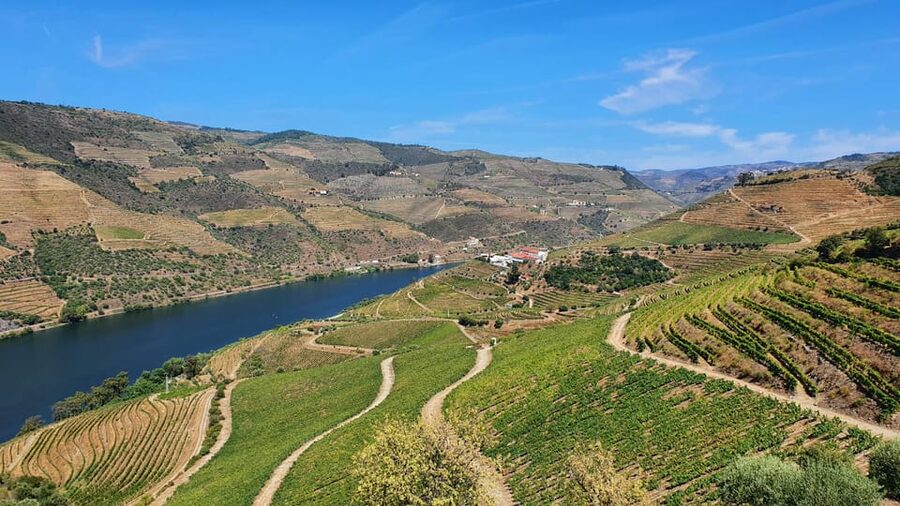 From Porto Day Douro Valley Wine Tour 2 Wine Tasting & Lunch - Wine tastings that feel connected to the place