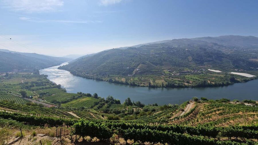 From Porto Day Douro Valley Wine Tour 2 Wine Tasting & Lunch - Small-group format, timing, and what the van ride means for you
