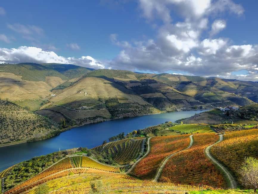 From Porto: Douro Valley - half a day on a wine experience - The Douro River rabelo cruise: why you should prioritize it