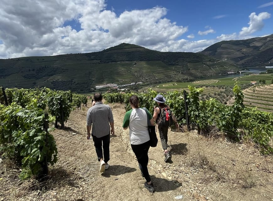 From Porto : Douro Valley sightseeing with 1 Winery Visit - Should you book this Douro Valley experience?