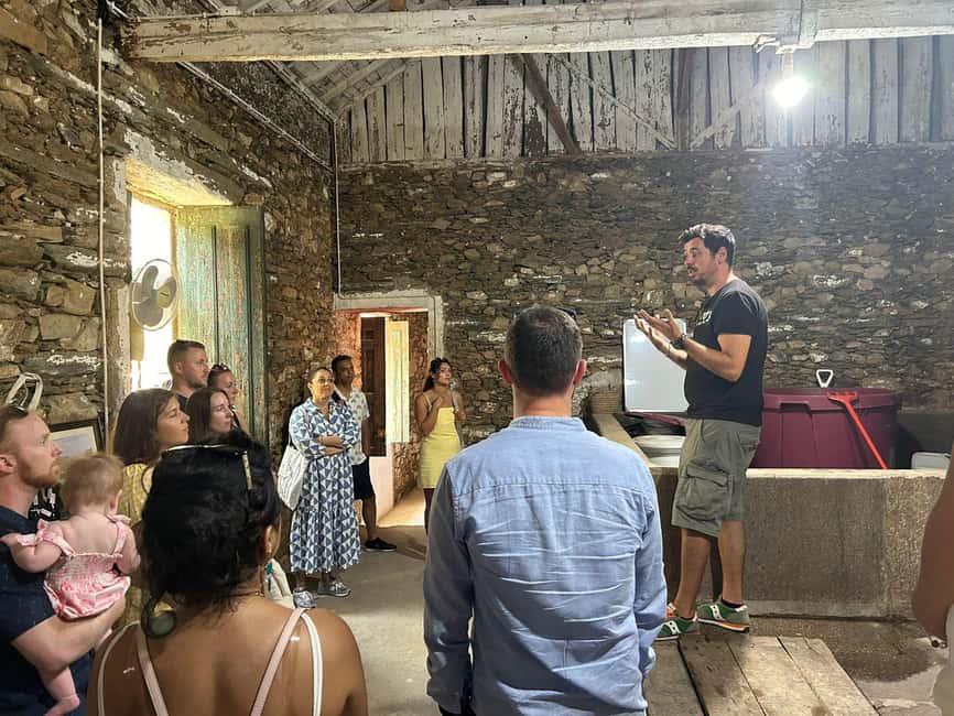 From Porto : Douro Valley sightseeing with 1 Winery Visit - Who this tour is best for, and who should skip it