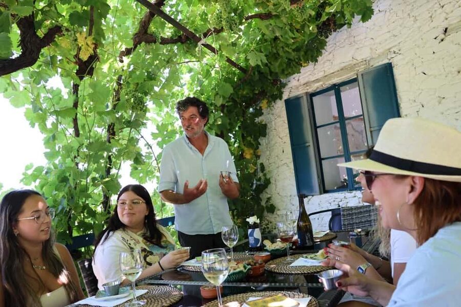 From Porto : Douro Valley sightseeing with 1 Winery Visit - Winery Visit: Port and DOC Douro tasting in a family-run setting