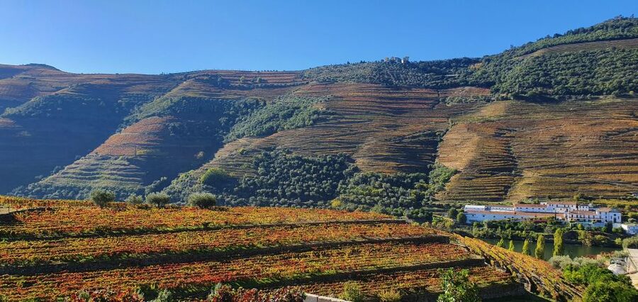 From Porto Douro Valley Tour with Train and Vinho Verde - Pinhão stop: a short pause to breathe and look closer