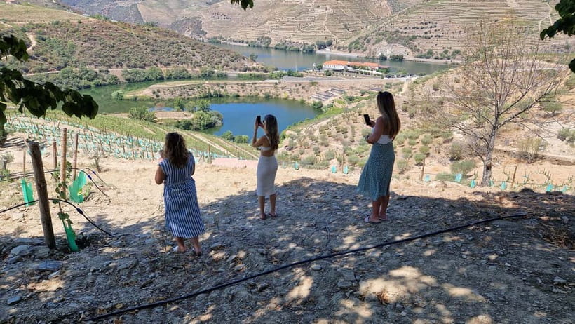From Porto Douro Valley Tour with Train and Vinho Verde - Getting around comfortably, with a tight but thoughtful schedule