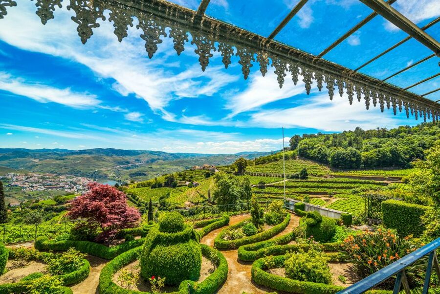 From Porto: Douro Valley w/ Boat Tour, Wine Tasting & Lunch - Who should book this Douro Valley tour, and who should skip it