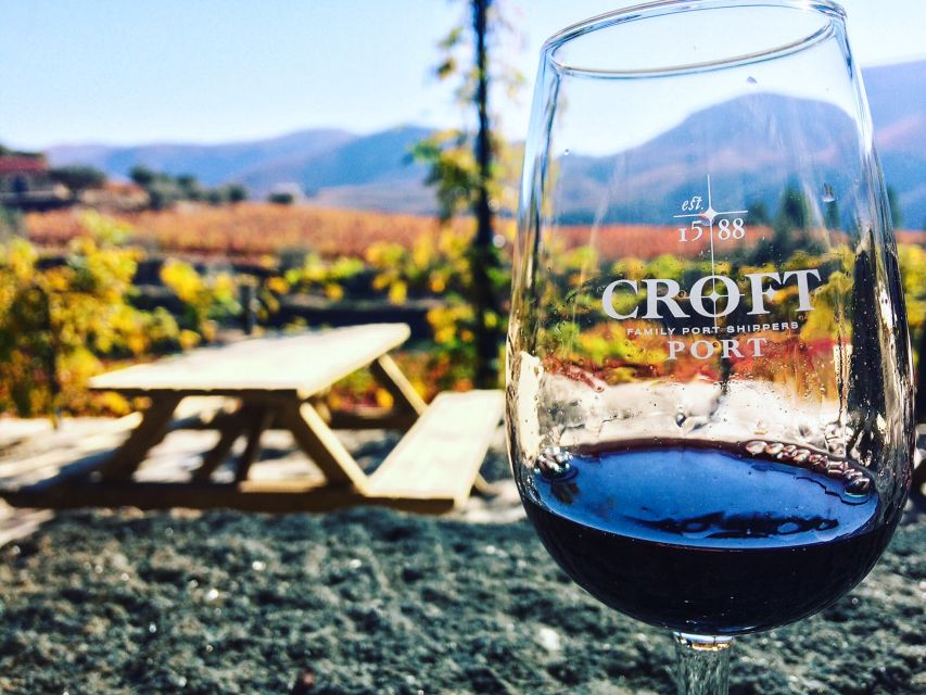 From Porto: Douro Valley w/ Boat Tour, Wine Tasting & Lunch - Second winery and tastings: Port comparisons plus olive oil