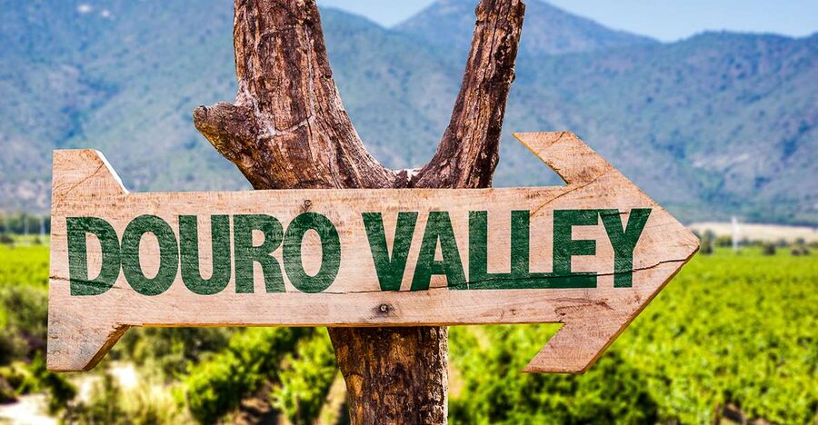 From Porto: Douro Valley w/ Boat Tour, Wine Tasting & Lunch - N222 scenic drive and photo stops on the way back