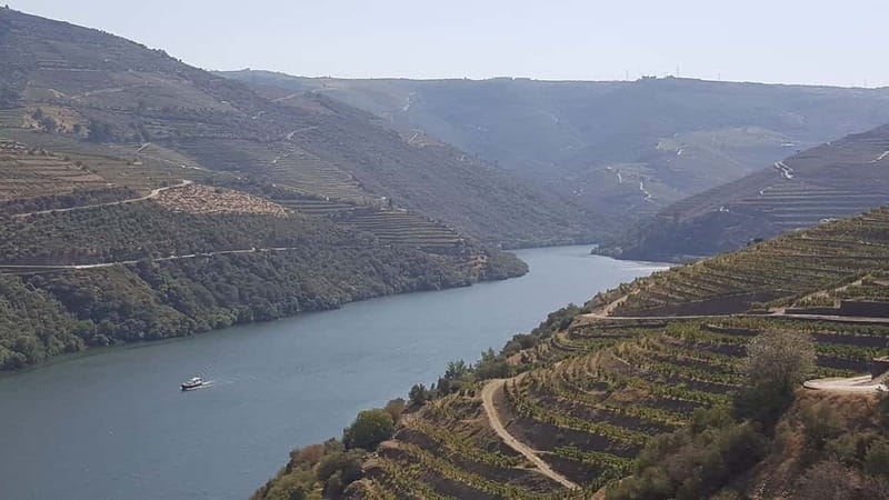 From Porto: Douro Valley Wine Tasting Tour With Hotel Pickup - Should you book it?