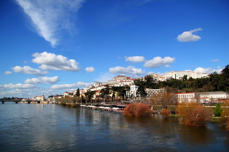From Porto: Fátima and Coimbra Tour - Basilica of the Most Holy Trinity: Big Architecture, Clear Perspective