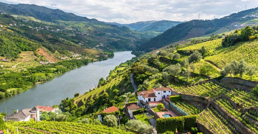 From Porto: Full-Day Douro Historical Tour - Key highlights worth your attention