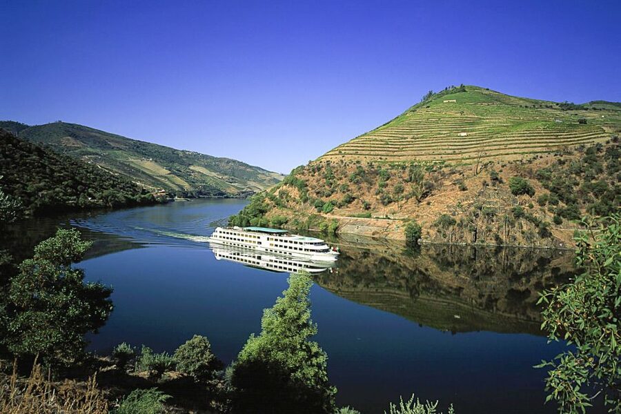 From Porto: Full-Day Douro Historical Tour - Getting to the Douro: meeting point and how the 10-hour day works