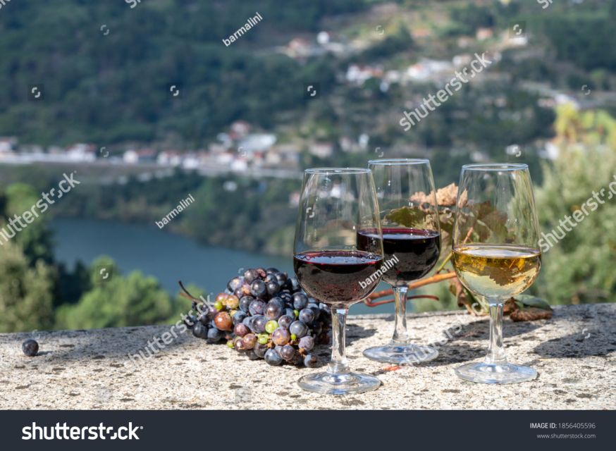 From Porto: Full-Day Douro Historical Tour - Photo stop timing and lunch: the calm reset before wine country