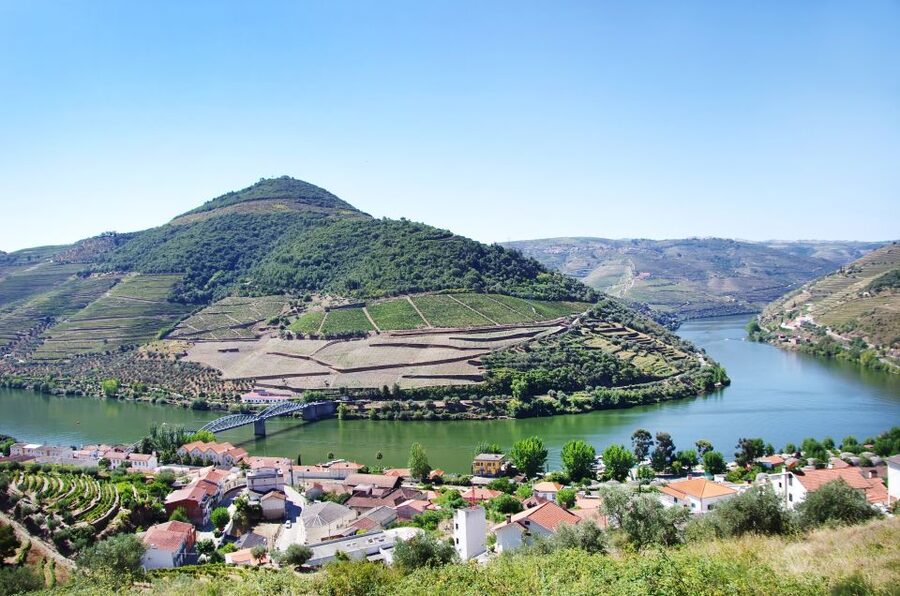 From Porto: Full-Day Douro Historical Tour - Price and value: what $104 includes and how to judge the deal