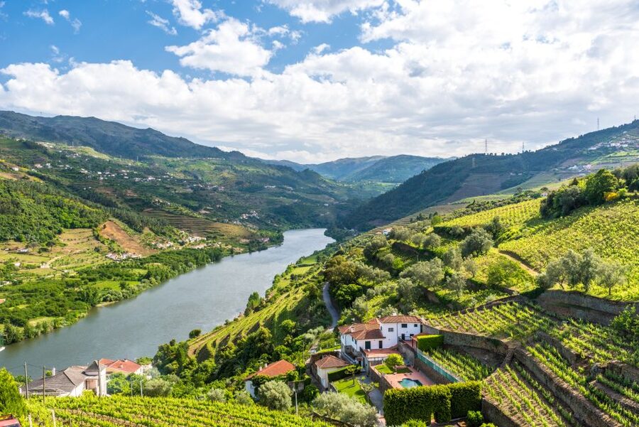 From Porto: Full-Day Douro Historical Tour - Amarante’s riverside charm, plus the Monastery of Saint Gonçalo