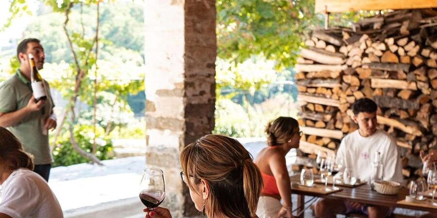 From Porto: Full-Day Douro Valley Trip - Guide quality: why names keep showing up