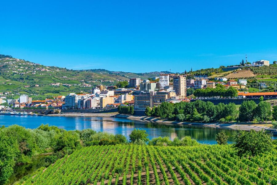 From Porto: Full-Day Douro Valley Trip - Peso da Régua: guided tour and tasting at the first estate