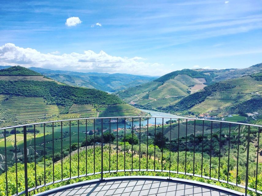 From Porto: Full-Day Douro Valley Trip - Pinhão and the 1-hour Douro River boat cruise: the pace reset