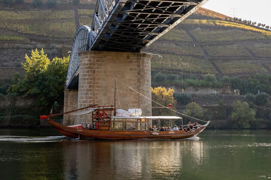 From Porto: Full-Day Douro Valley & Wine Tour with Lunch - Meeting at Igreja da Lapa, then settling in for the ride