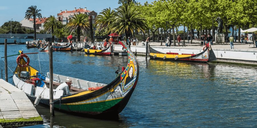 From Porto: Full-Day Trip to Coimbra & Aveiro with Boat Ride - Porto to Coimbra and Aveiro: a smart one-day plan
