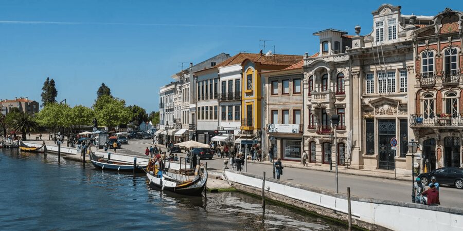 From Porto: Full-Day Trip to Coimbra & Aveiro with Boat Ride - Guided pastry and water: a small included touch that matters