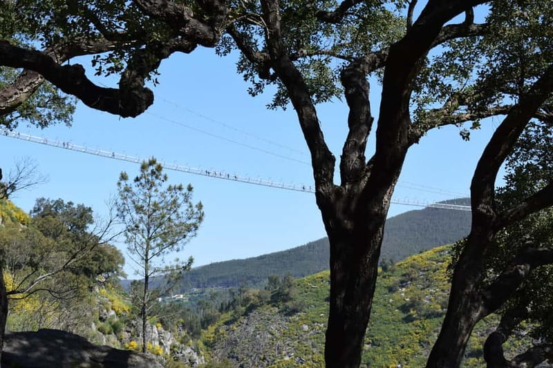 From Porto: Guided Tour of the 516 Arouca Suspension Bridge and Paiva Walkways - The Arouca Geopark Stops: Where the Scenery Gets Its Story