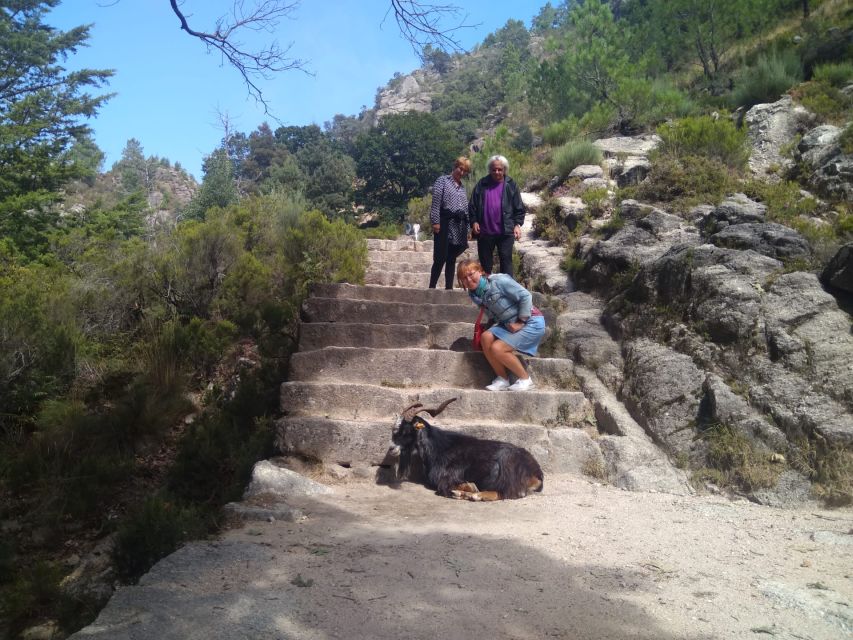 From Porto: Guided tour to Gerês Park - From Porto or Braga to Peneda-Gerês, how the day starts