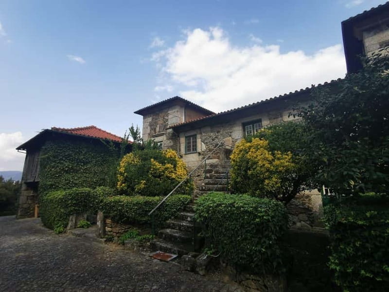 From Porto: Nature and Wine tasting Full-Day Tour - Price and logistics: what $129 buys you in real time