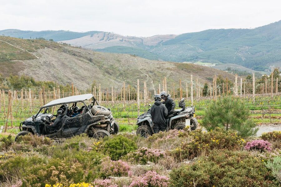 From Porto: Off-Road Buggy Adventure - Key highlights that make this Porto buggy tour worth it