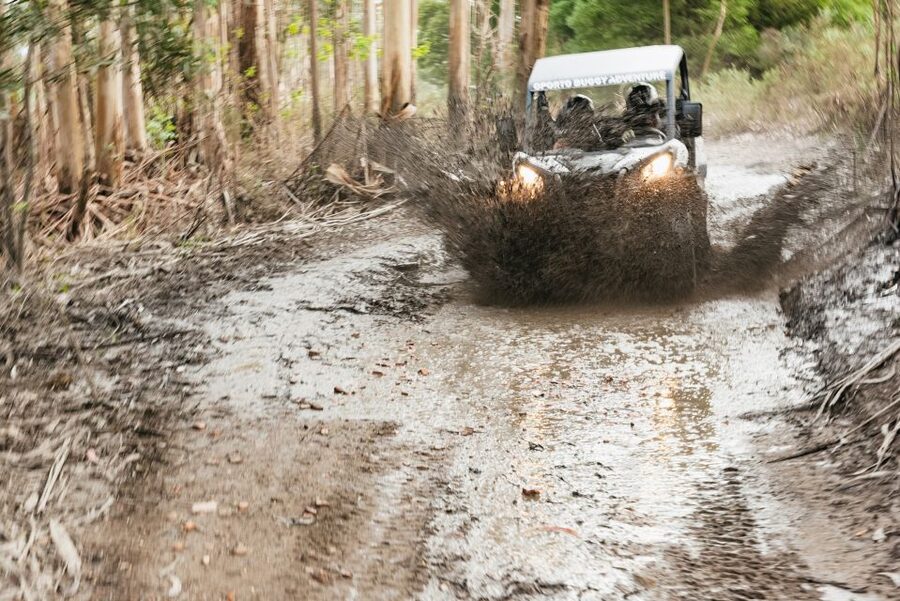 From Porto: Off-Road Buggy Adventure - Why a buggy tour from Porto feels different