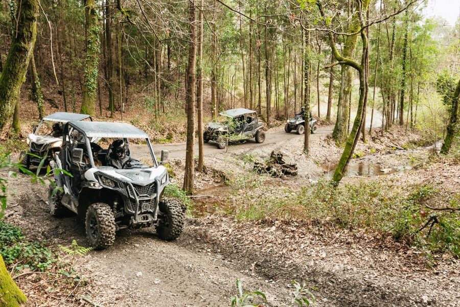 From Porto: Off-Road Buggy Adventure - Castro Mozinho Roman ruins: history you can picture